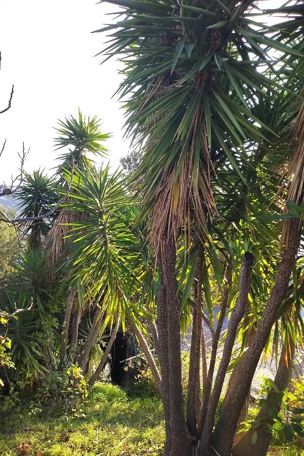 Rez De Villa Avec Beau Jardin Et Belle Vue Saint-Laurent-du-Var